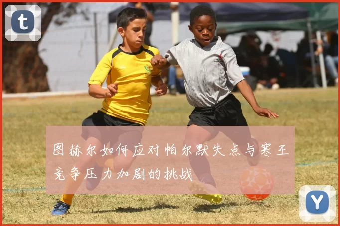 图赫尔如何应对帕尔默失点与寒王竞争压力加剧的挑战